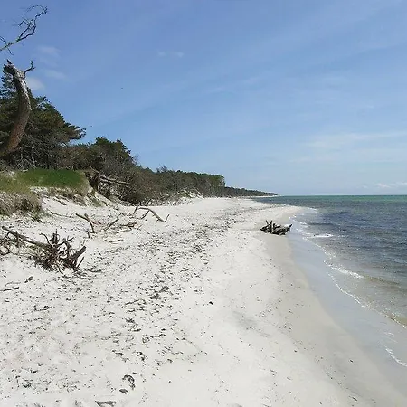 Holiday I Klitterne Nexo Ix Spidsegård